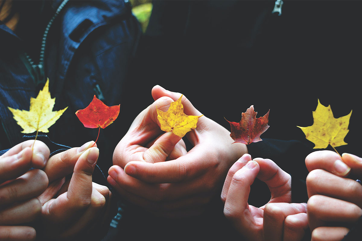 Autumn Leaves by Providence Doucet on Unsplash